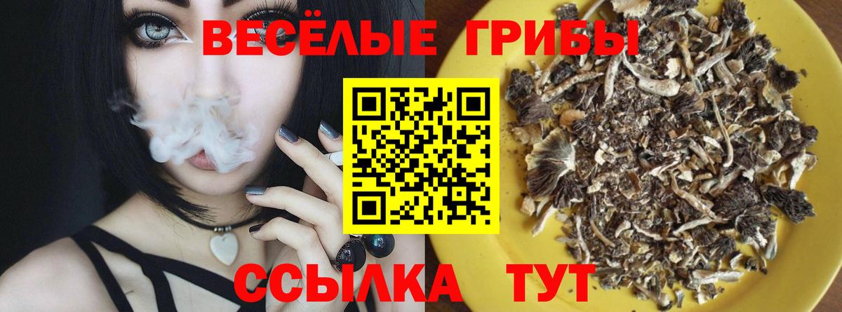Псилоцибиновые грибы Cubensis  Вход с VPN  Качканар  Галлюциногенные грибы ЛСД 